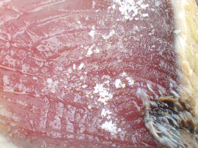 コストコ桜燻しカツオたたきに沖縄県産の海塩をかけた表面