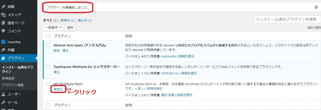 WP画像39